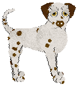 Profile image of Cargo's City State at SzK