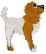 Sungraze/APK's Tokyo Drift — “Drift”