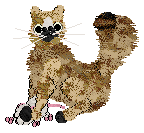 SeaGlass's Fresh From the Fields — “Potato”