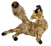 SeaGlass's Fresh From the Fields — “Potato”