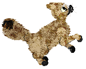 SeaGlass's Fresh From the Fields — “Potato”