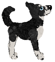 Krunchez/Dh's Ancestor's Apostle — “Teshar”