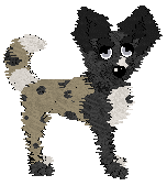 Lex/Mockingbird's Coffee Creamer — “Barista”