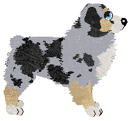 Spellbound's Diva Down Under at Vanilla — “Dingo”