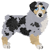 Spellbound's Diva Down Under at Vanilla — “Dingo”