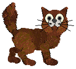 Madcap/NMDC's Wingless Angel — “Queenie”