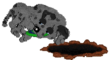Buttloaf's Binary Bandit — “Nyble”