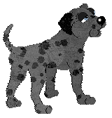 Profile image of Buttloaf's Binary Bandit