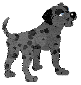 Profile image of Buttloaf's Binary Bandit