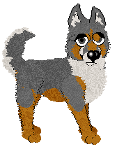 Profile image of Pachelbel's Backwards Shine