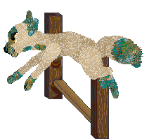 Tangled's That Which Is Gleaming — “Faience”