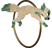 Tangled's That Which Is Gleaming — “Faience”