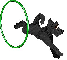 SeaGlass's Green is my Middle Name — “Bob G. Groon”