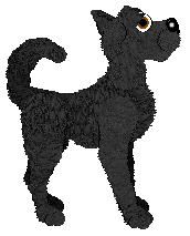 SeaGlass's Green is my Middle Name — “Bob G. Groon”