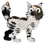 Xoops/Tangled's Cat In the Box — “Jack”