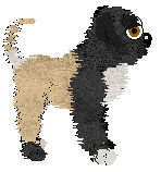 Witz's Difficulty Spike at Perfume — “Bloodskr”