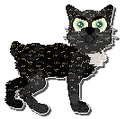 Profile image of Witz Propane & Propane Accessories