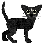 Witz's Coin Locker Babies at Perfume — “Moonpool”