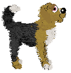 Witz Raisins Do Belong In Cookies — “Oatmeal Raisin Cookie”