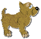 Profile image of Cargo's Dead Men's Trousers