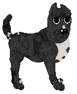 Witz's Fluent Pet — “Hextile”