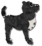 Profile image of Witz's Fluent Pet