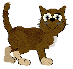 Profile image of Canis Major's Vanilla Syrup @ Mockingbird