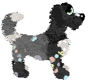 Spellbound The Bunnipocalypse 2025 — “Counterfetti”