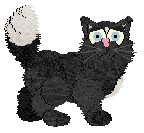 Whimsy's Certified Crunchy @ Mockingbird — “Taylor”