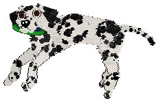 Mockingbird's Rain Came Pouring — “Splash”