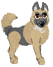 Pachelbel's What We Choose To Keep — “Token”