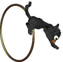 Cyborg's Gone Batty @ Mockingbird — “Batty”