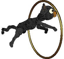 Profile image of Cyborg's Gone Batty @ Mockingbird