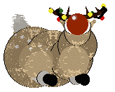 Ferality's Boughs On The Halls @ Minky's — “Holly”