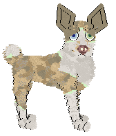 Perfume's Mellowship Slinky — “Pepito”