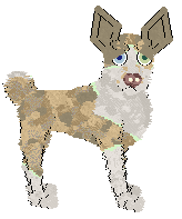 Perfume's Mellowship Slinky — “Pepito”