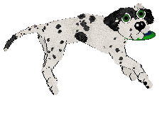 Poppyhill's When It Rains It Pours at Lemonade — “Lichen”