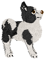 Pachelbel's Licensed Doctor — “Tickled”