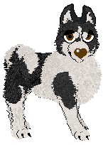 Profile image of Pachelbel's Licensed Doctor