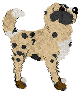 Reticulate's Gold and Pearls at Obzocky — “Fancy”