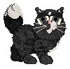 Profile image of Tea/King's Little Cat