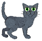 NIGHTMOON'z Shimmer Shine — “Glimmer”