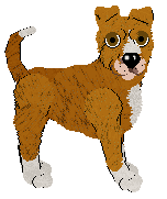 Opolire/Tangled's Montbretia — “Crocosmia”