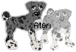 Profile image of Ferality's Magnavox Odyssey of APK