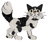 Profile image of Spellbound/FK's Twine Mistletoe and Holly