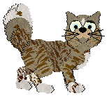 FK's In Perfect Mint Condition — “Minted”