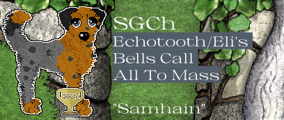Profile image of Echotooth/Eli's Bells Call All To Mass