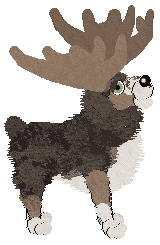 Tuna/Eli's Alces Alces — “Orono”