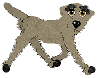 Profile image of Arrow's Beanstalk