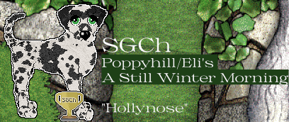 Profile image of Poppyhill/Eli's A Still Winter Morning